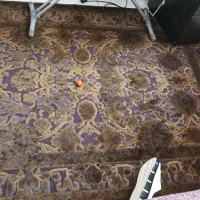 فرش|فرش|بندرعباس, |دیوار