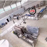 خط تولید فرنچ فرایز دو تن