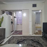 اجاره آپارتمان ۴۶.۵ متری خوش نقشه شیک با اسانسور|اجارهٔ آپارتمان|تهران, امام زاده حسن|دیوار