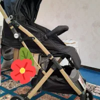 کالاسکه  دلیجان  چمدونی