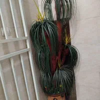 درختچه مصنوعی  با گلدان نو|گل مصنوعی|تهران, مهرآباد جنوبی|دیوار