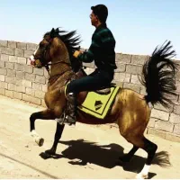 نریان درهشور