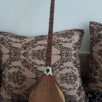 دوتار حرفه ای