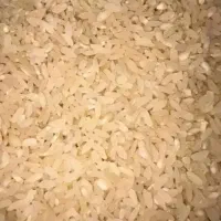 برنج کامفیروز بشرط