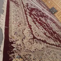 فرش|فرش|قم, شاد قلی|دیوار