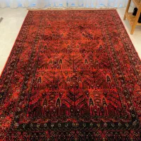 ۲ تخته فرش ۶ متری|فرش|شیراز, زرهی|دیوار