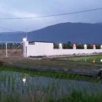 فروش زمین مسکونی زراعی ۱۶۶۵ متری با مجوز ساخت|فروش زمین و ملک کلنگی|چابکسر, |دیوار