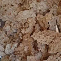 نان خشک تمیز و کوبیده شده