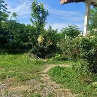 اجاره ویلاباغ دوخواب حیاط بزرگ دربست باامکانات|اجارهٔ کوتاهمدت ویلا و باغ|ماسال, |دیوار