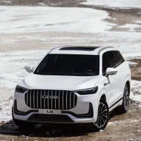 لوکانو 8سقید