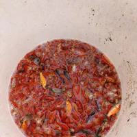 فروش انواع ماهی|ماهی|تهران, آزادشهر|دیوار