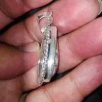 شجر گردنی شکوفه|بدلیجات|مهریز, |دیوار