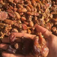 زایعات خرما کبکاب و شاهانی|خوردنی و آشامیدنی|زرین دشت (فارس), |دیوار
