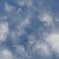 کارشناس/نماینده فروش