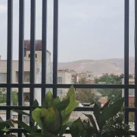 پرستار بچه وراننده