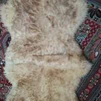 پوست بره (دباغی شده)