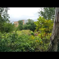 زمین 1800متری مسکونی در روستای آبمال قائمشهر|فروش زمین و ملک کلنگی|قائم‌شهر, |دیوار