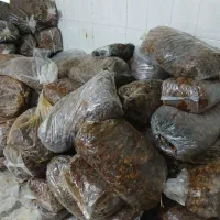 خرما ضایعات