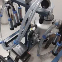 دستگاه شیردوش و تجهیزات شیردوشی گاو وگوسفند