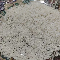 برنج دم سیاه