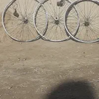 دوچرخه|دوچرخه، اسکیت، اسکوتر|جزنیک, |دیوار