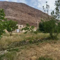 باغ فروشی در روستای سادیان