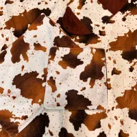 روتختی ۴ تکه