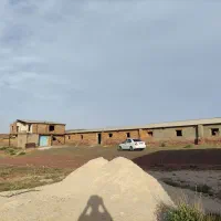 مرغداری صنعتی