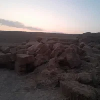 فروش سی تن گاه گندم وجو قاطی وسی تن سوفال