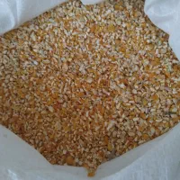 انواع دان مرغ و پلیت