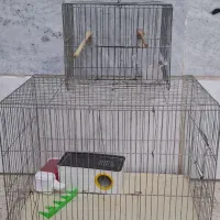 قفس پرنده دردوسایز