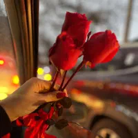 گروه سوپرایز|خدمات پذیرایی، مراسم|ساری, |دیوار