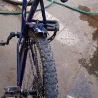 دوچرخه سند دار آساک دماوند|دوچرخه، اسکیت، اسکوتر|تربت جام, جامی|دیوار