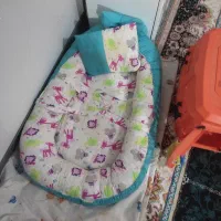 سگ پامر|سگ|نظرآباد, نجم آباد|دیوار