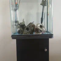 آکواریوم به همراه پایه