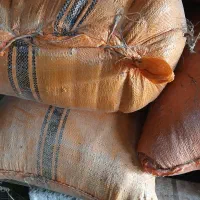 سبوس برنج|حیوانات مزرعه|اسالم, |دیوار