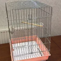 قفس عروس هلندی