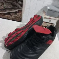 کفش فوتبال میخی اصلی|ورزش‌های توپی|مشهد, شهرک امام هادی (شهرک غرب)|دیوار