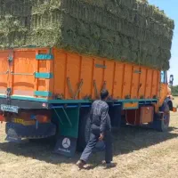 کلش کاه پرس یونجه انباری. جو. گندم