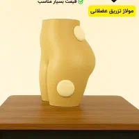 انواع مولاژ CPR و مولاژ تزریقات ودیگر موارد آموزشی|پزشکی|مشهد, کوه سنگی|دیوار