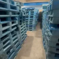 پالت پلاستیکی آسیابی (فروش فوری)