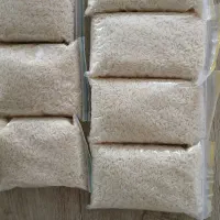 برنج هاشمی و طارم امسال