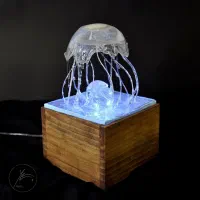 چراغ خواب کلکسیونی|چراغ خواب و آباژور|اصفهان, کوی امام|دیوار