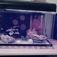 اکواریم اکوا ۸۰۰ با کلیه لوازم