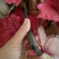 گوشی a 14 رام ۶ حافظه ۱۲۸|موبایل|تهران, زنجان جنوبی|دیوار