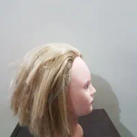 کله مانکن دکوری و آرایشی برای تمرین|آرایشی، بهداشتی، درمانی|تهران, مینای جنوبی|دیوار