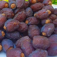خرمای جنوب