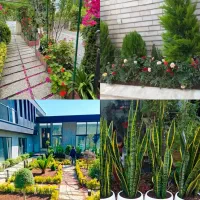 خدمات باغبانی طراحی واجرای فضای سبز تمام نقاط تهرا