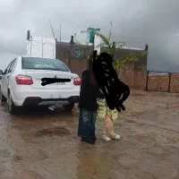 ساینا  sمدل1403/12فروشی