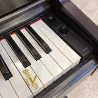 پیانو دیجیتال یاماها Yamaha YDP-165 / YDP165 آکبند|پیانو، کیبورد، آکاردئون|تهران, بهجت‌آباد|دیوار